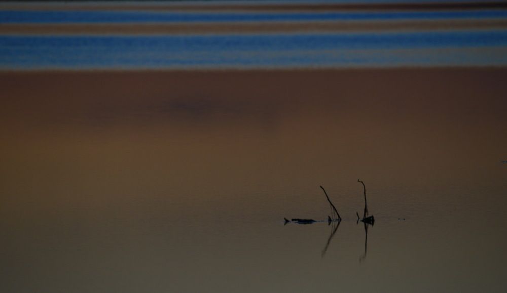 Фотография автора Медведев Сергей