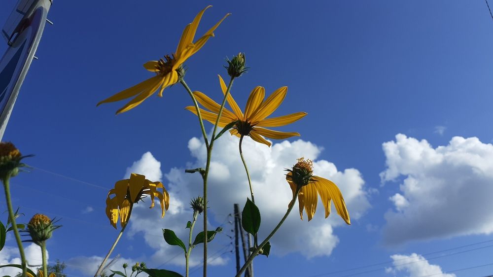 Photograph by Елена Лещева