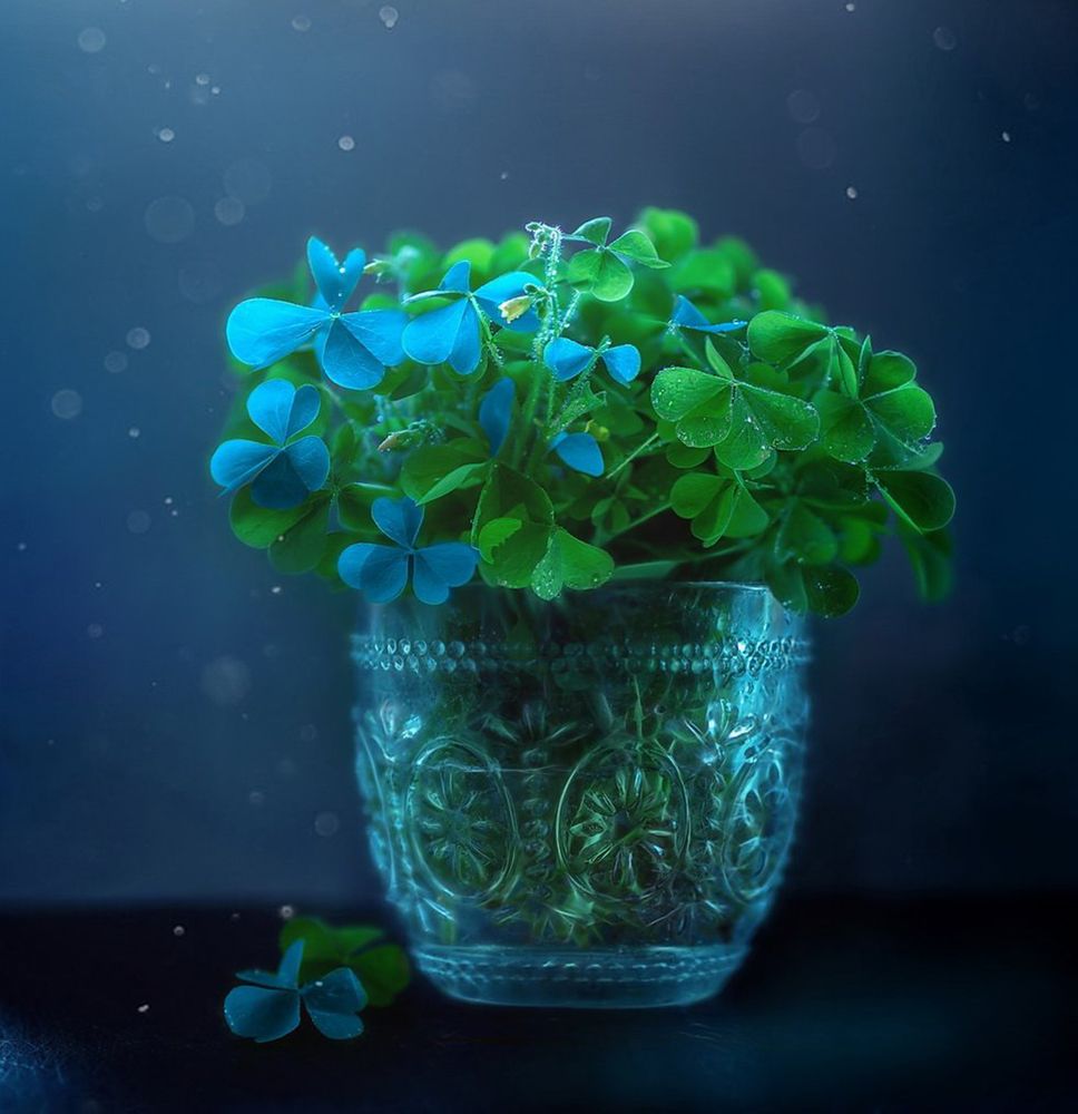 Photograph by Svoboda Andreeva