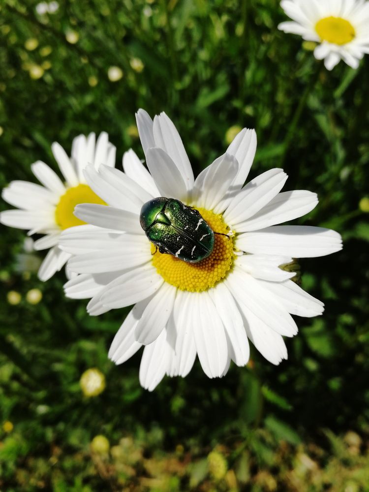 Photograph by Алёна Красова