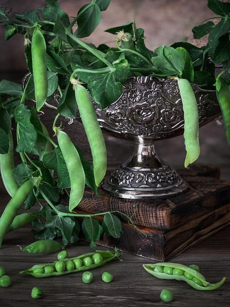 Photograph by Наталья Перерва