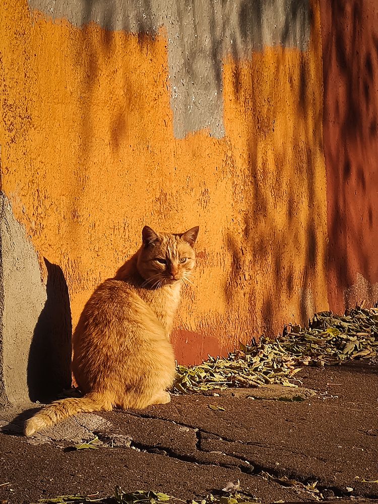Фотография автора Наталья Силантьева