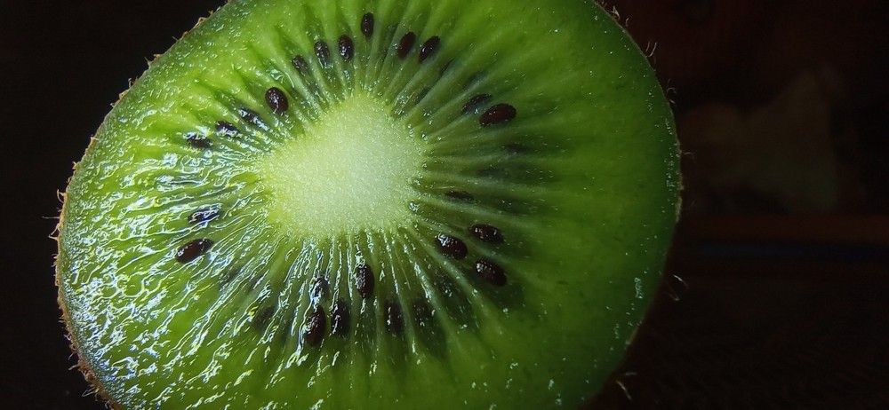 Фотография автора hakan mohammadi