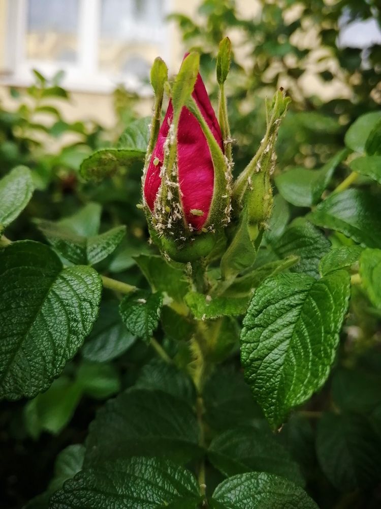 Photograph by Наталия