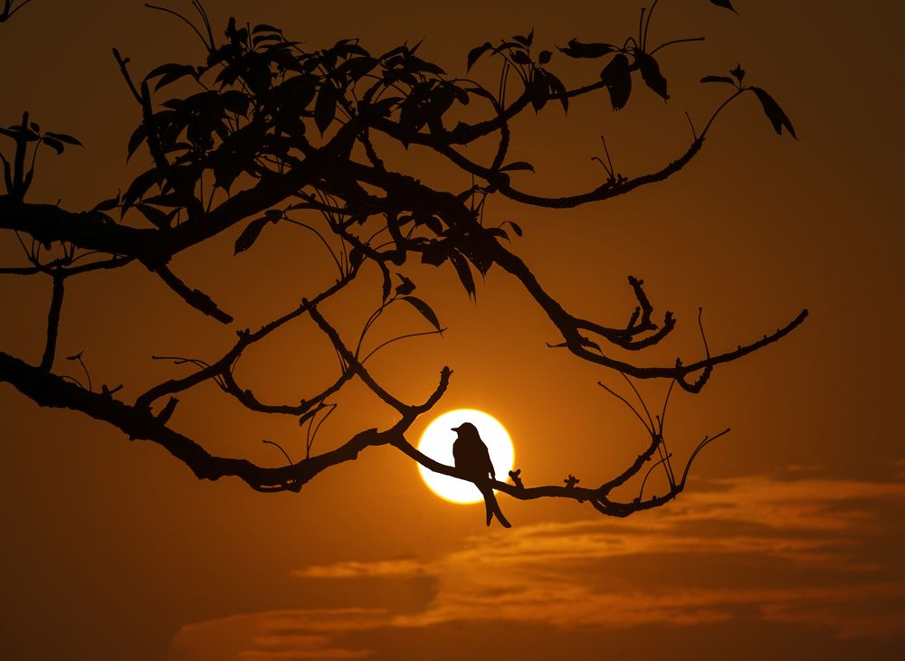 Photograph by Asamanj Maiti