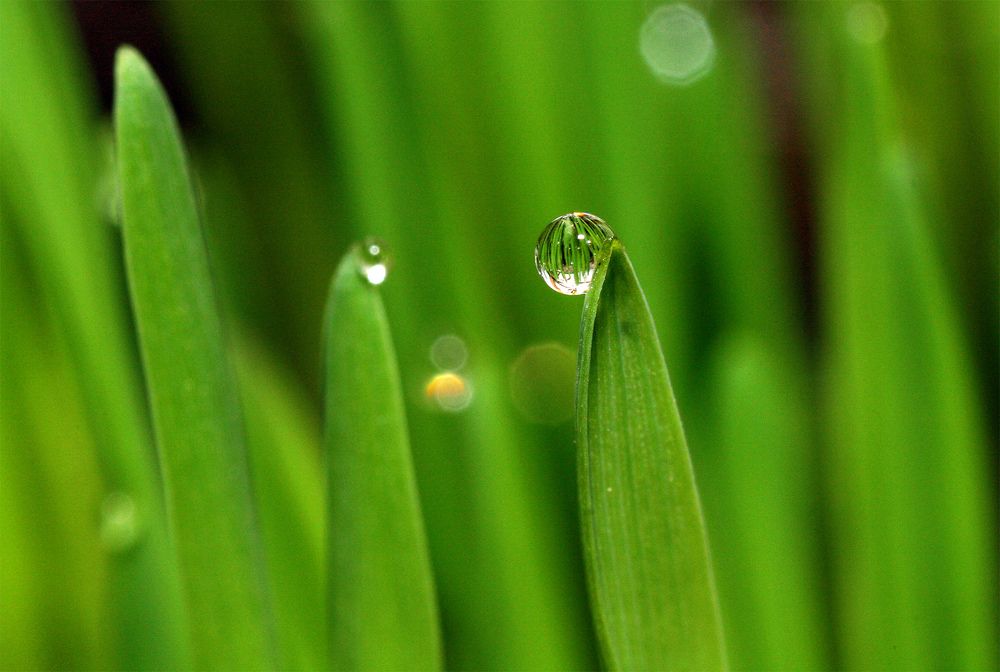 Фотография автора Сергей Кулешов