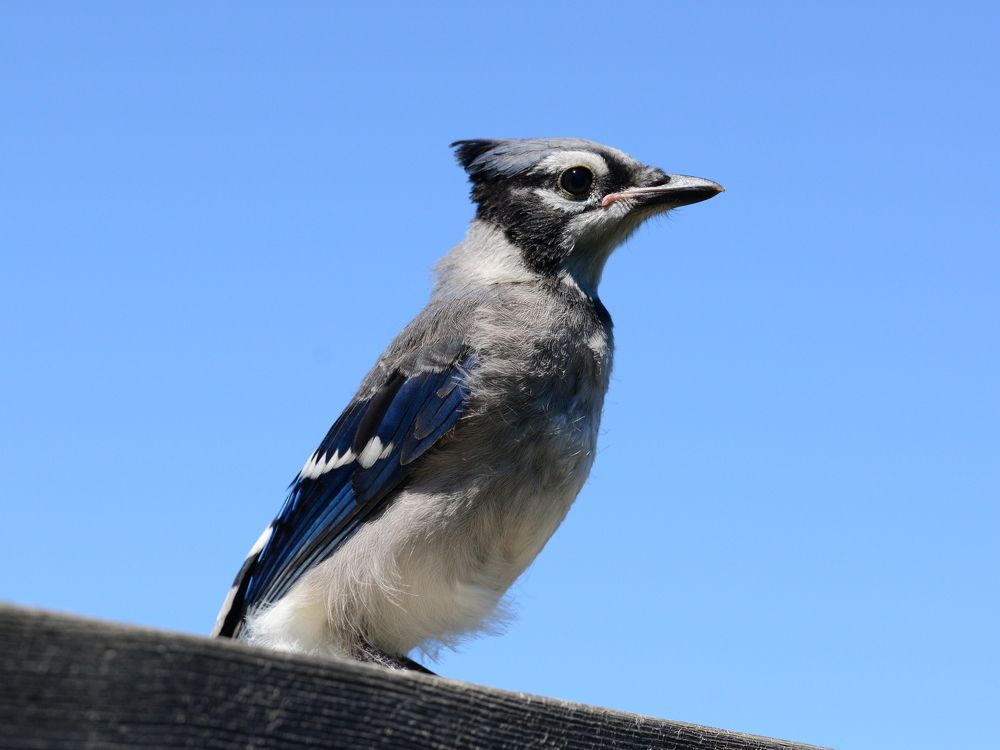 Photograph by Игорь Двойных