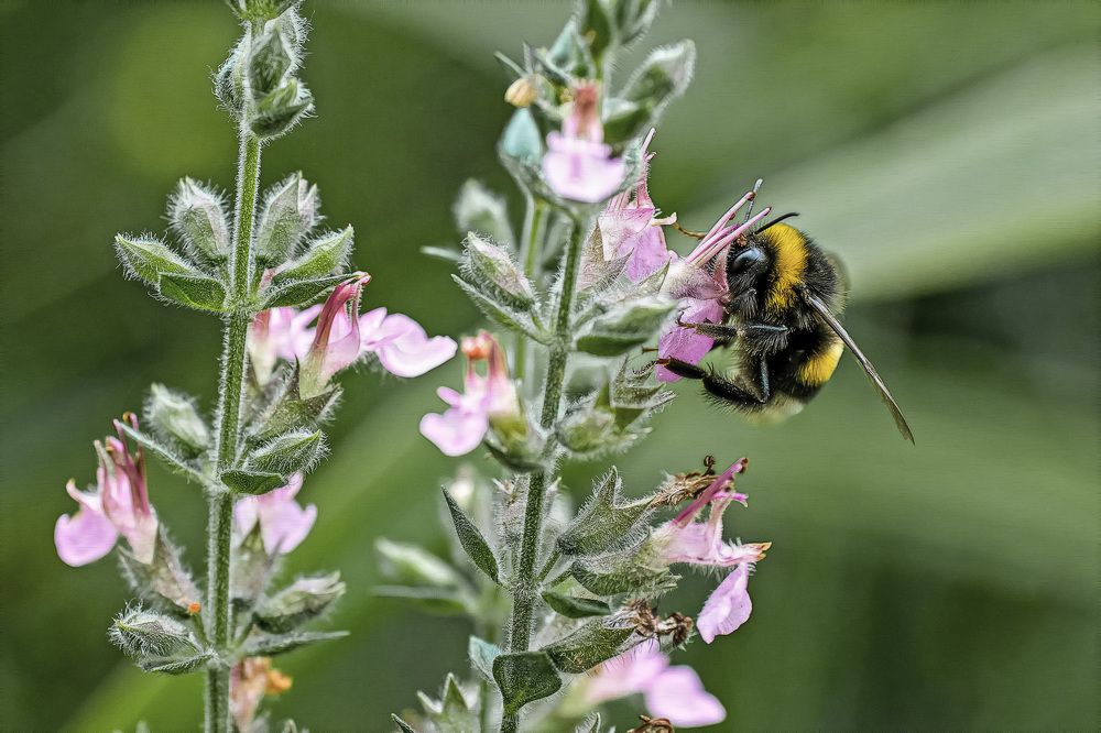 Photograph by Александр Стрельченко