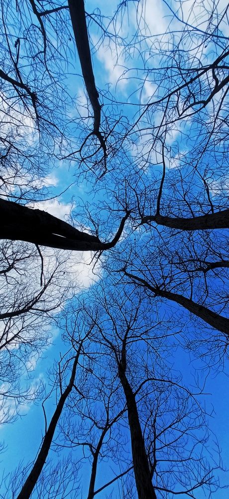 Фотография автора hakan mohammadi