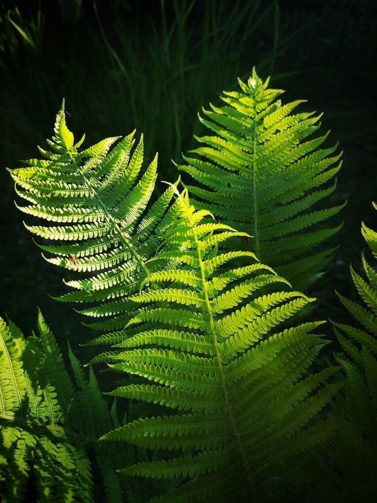 Photograph by Екатерина Борисовна Кузьмина