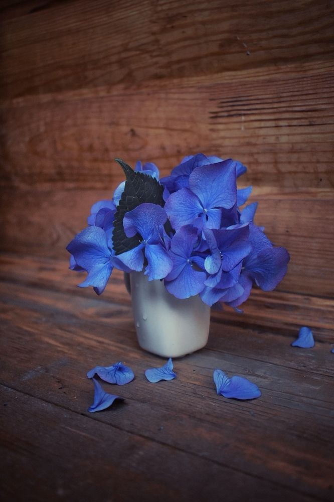 Photograph by Кира Бахвалова