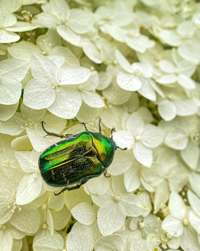 Photograph by Алла Творогова