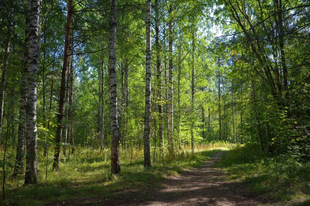 Photograph by Дмитрий Дунаев