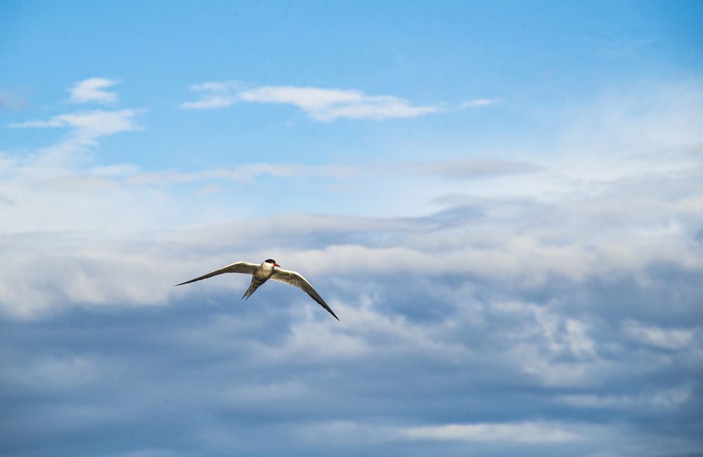 Photograph by Сергей Белов