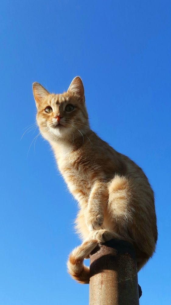 Photograph by Анжелика Сороколетова