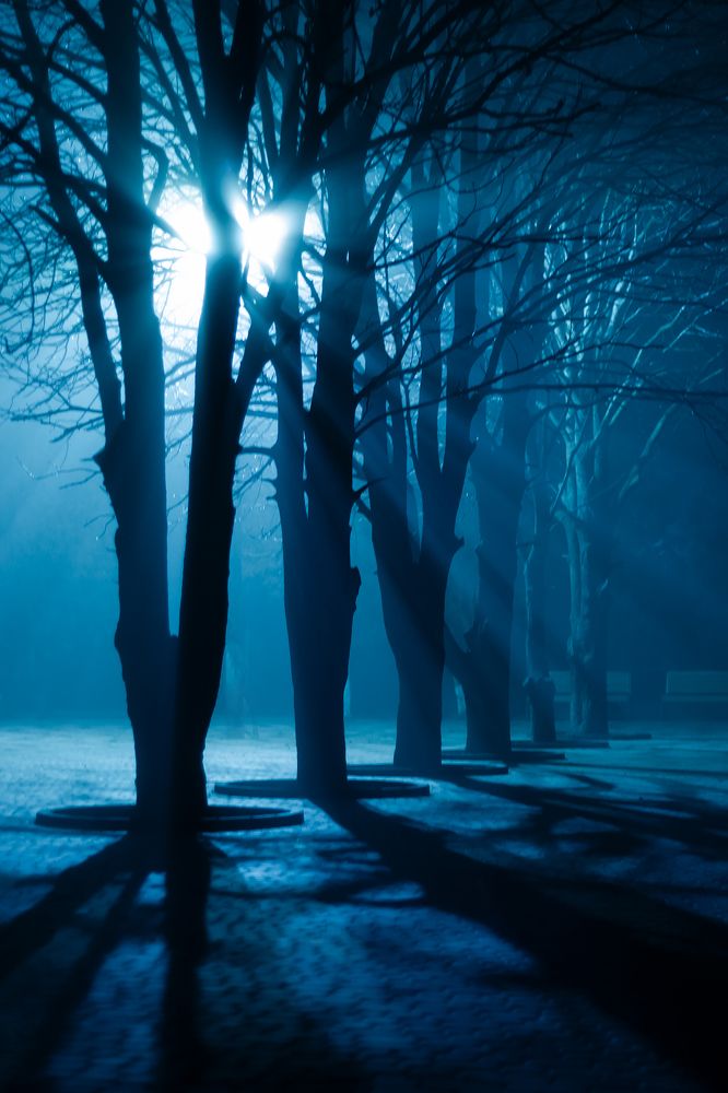 Photograph by Анастасия Галенко