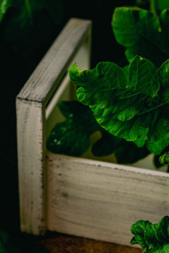 Photograph by Нина Сучкова