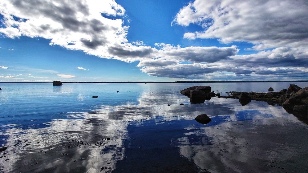 Photo #8028106