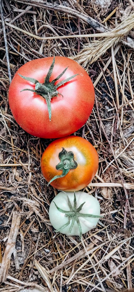 Photograph by Ирина Лузянина