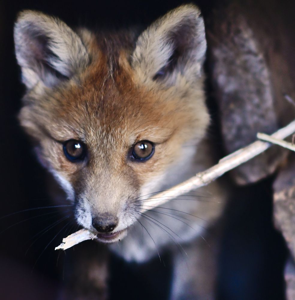 Photograph by Елена