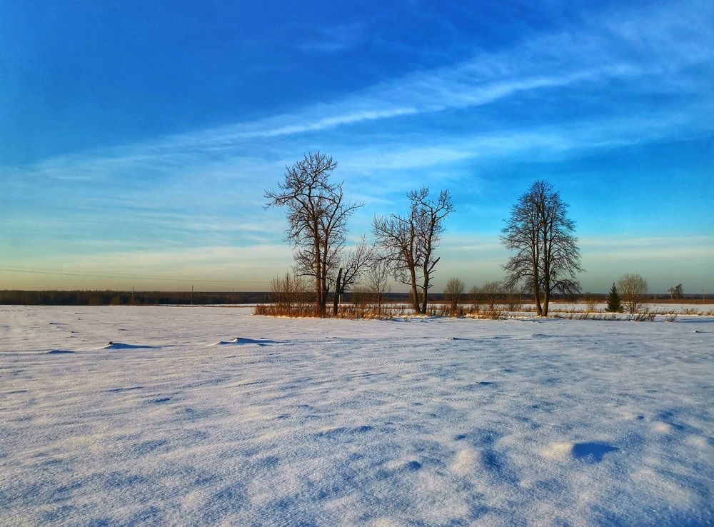 Фотография автора Андрей Шестаков