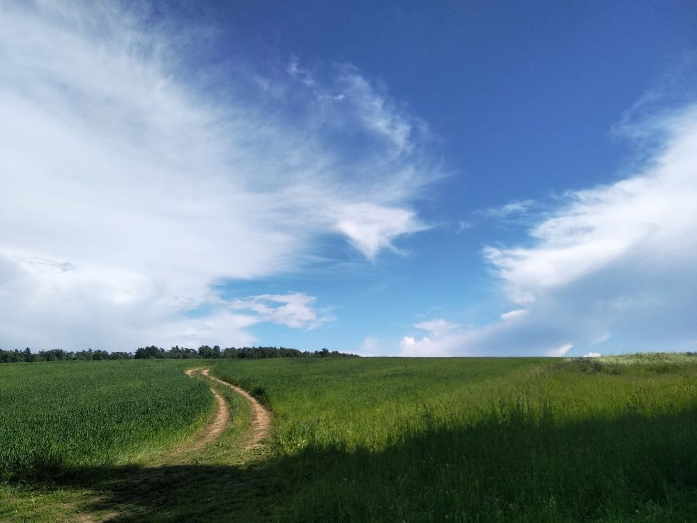 Photograph by Ольга Антохина