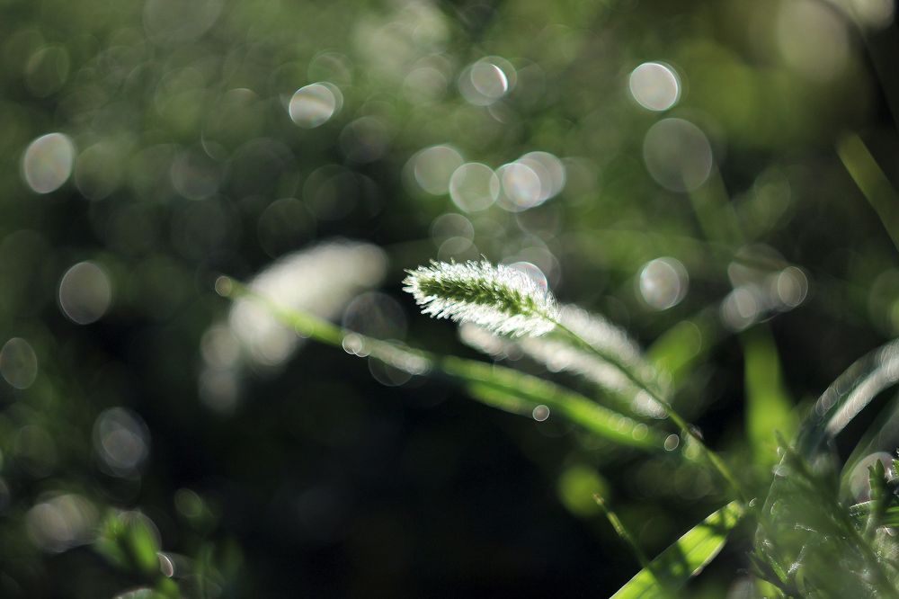 Photograph by Анастасия Галенко