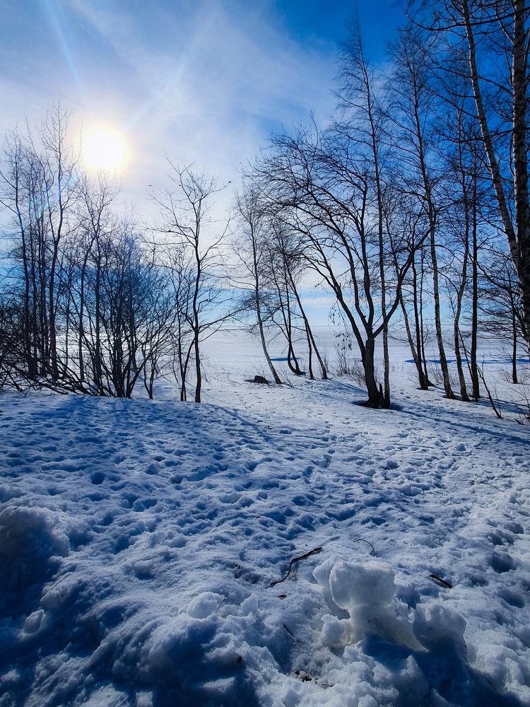 Фотография автора Inna Evseeva