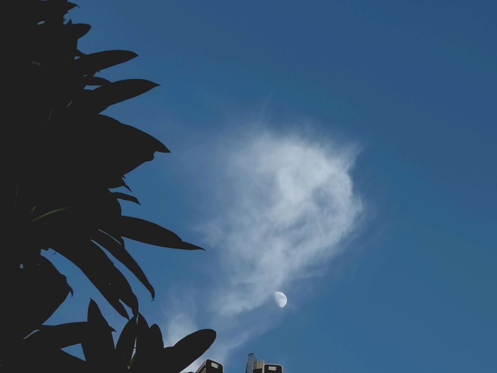 Photograph by VALDEZ JONATHAN