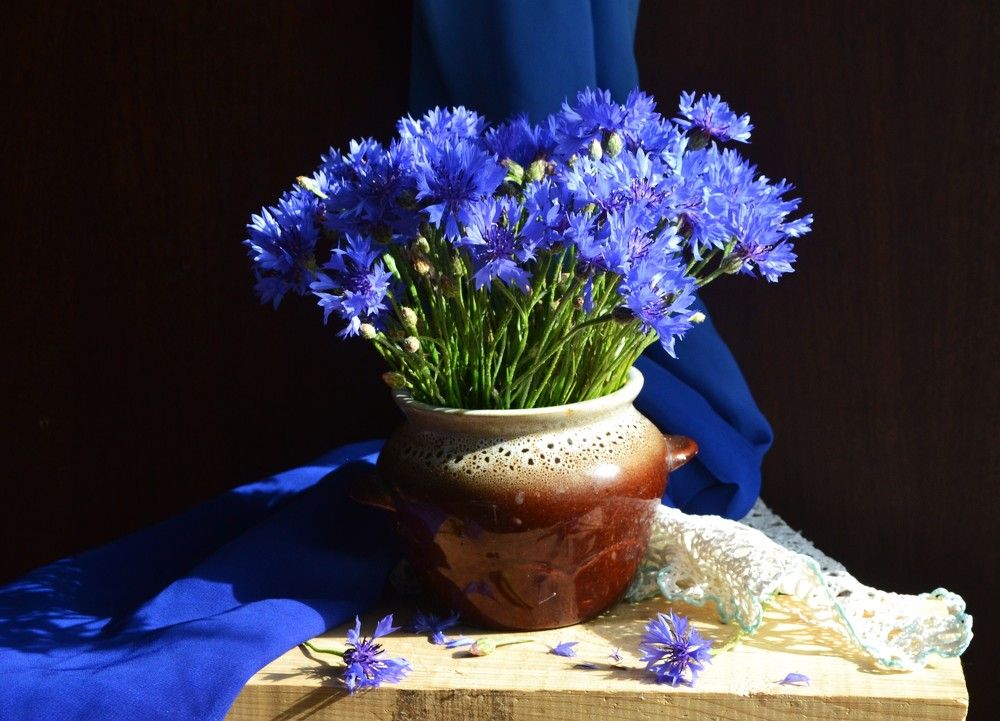 Photograph by Ольга Хромова