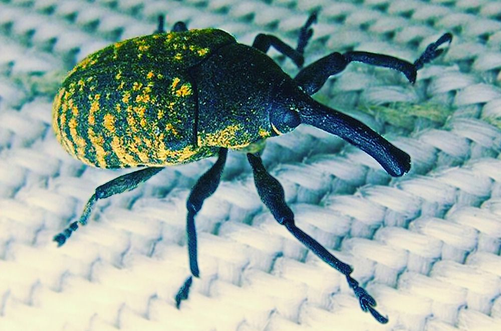 Photograph by Константин Мишнаевский