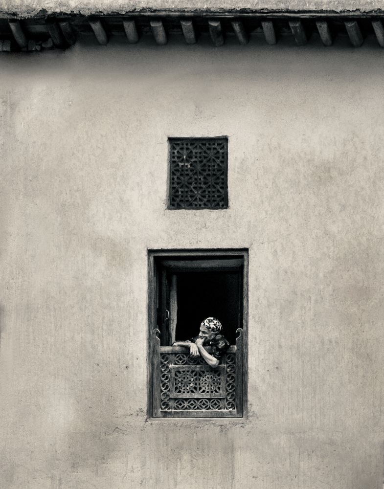 Фотография автора Mohammad Mohseni