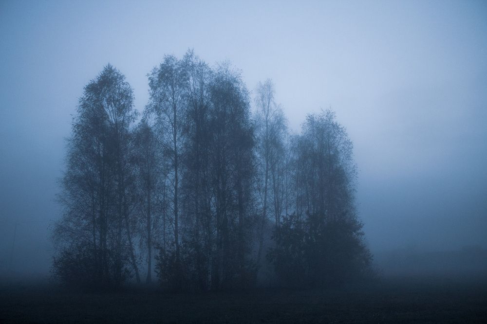 Туманное утро