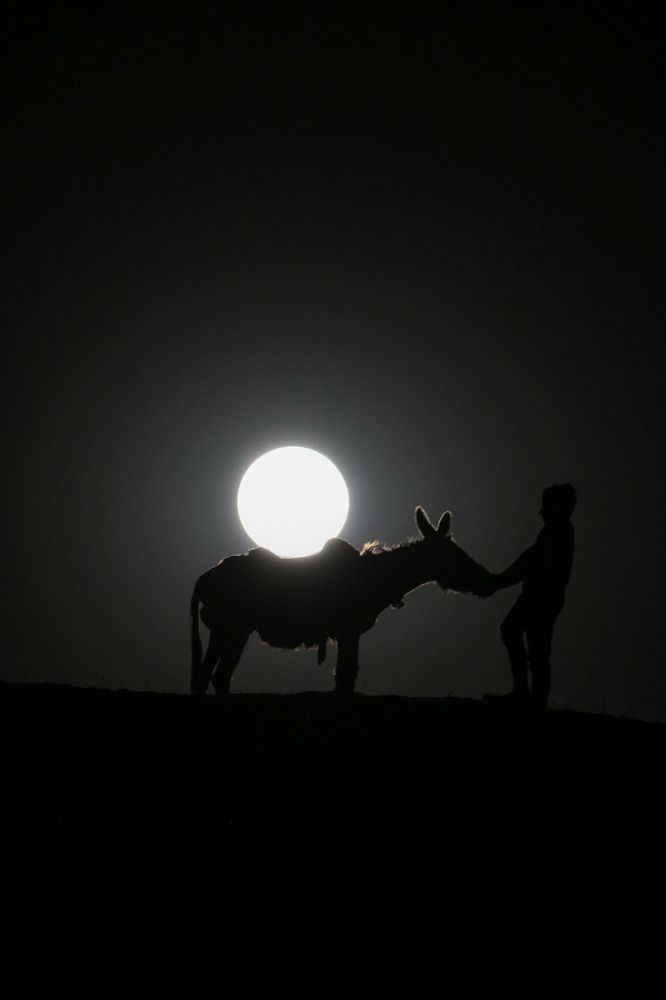 Photograph by javad abolhassani