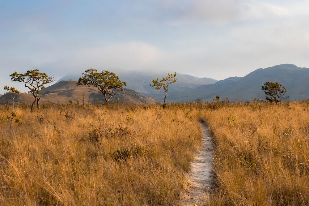 Photograph by Bruna Pinto Pereira