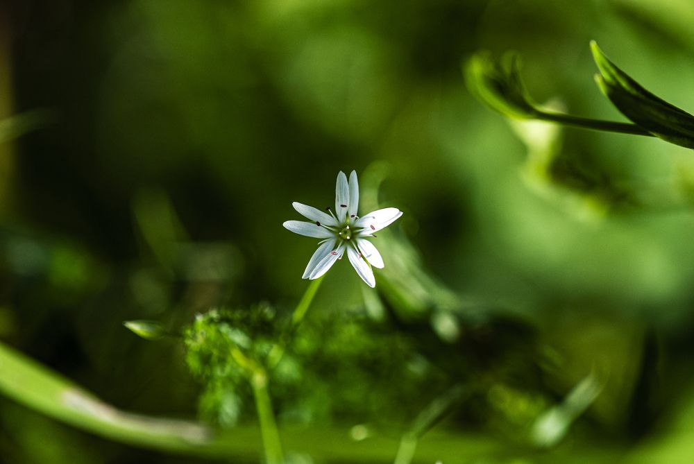 Photograph by Сергей Белов