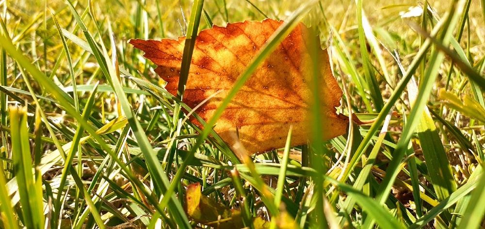 Photograph by Евгения Ульянова