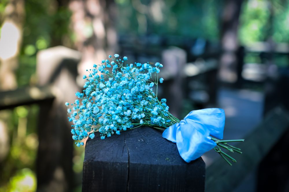 Photograph by Светлана Солдатченкова