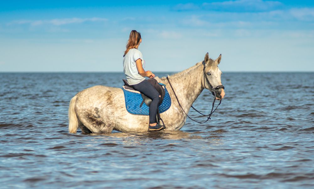 Photograph by Ruslan Leskov