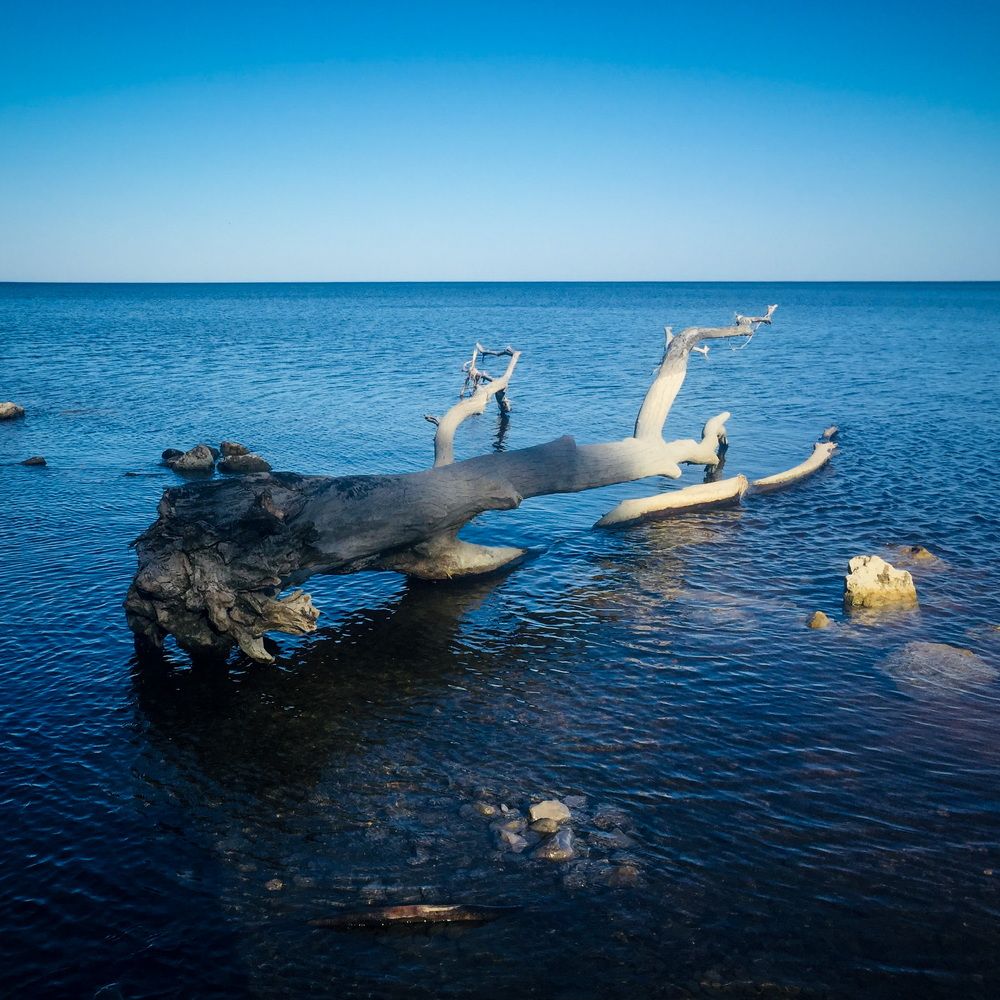 Photograph by Юлия Андреева