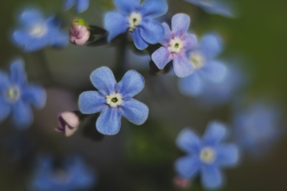 Photograph by Анастасия Ивахнова