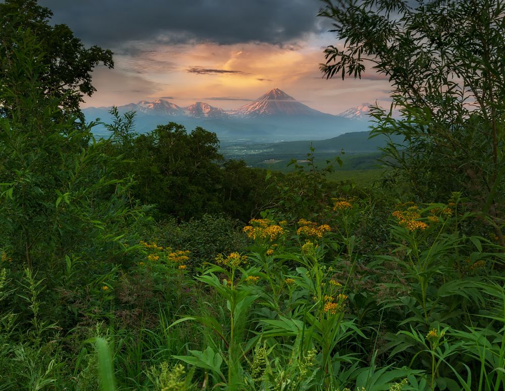 Photograph by Александр Максин