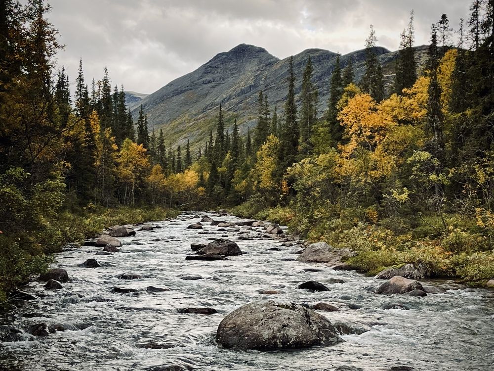 Фотография автора Юлия Шумейко
