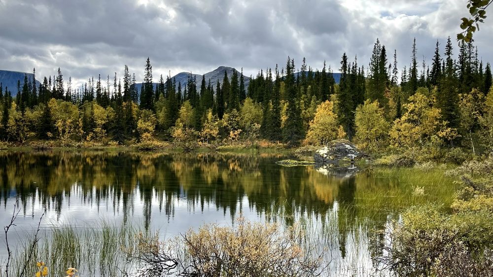 Фотография автора Юлия Шумейко