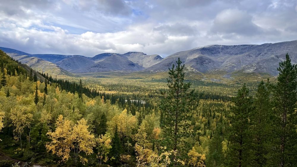 Фотография автора Юлия Шумейко