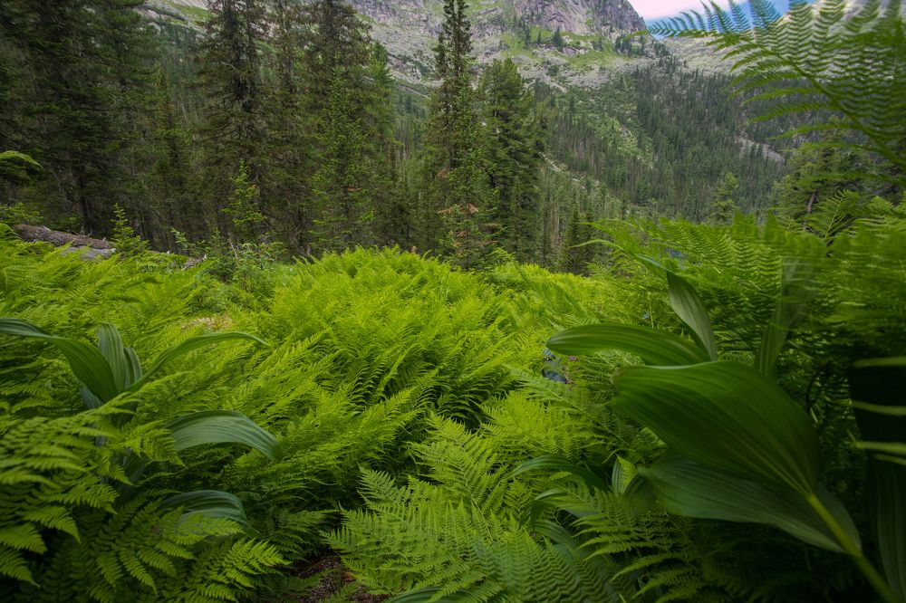 Photograph by Константин Искучеков