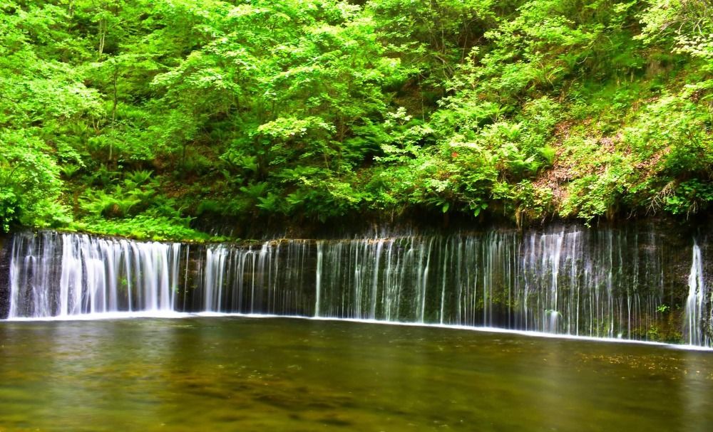 Photograph by Chakraborty Writuparna