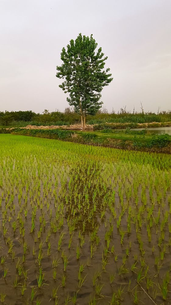 Photograph by mahdi ghanbari