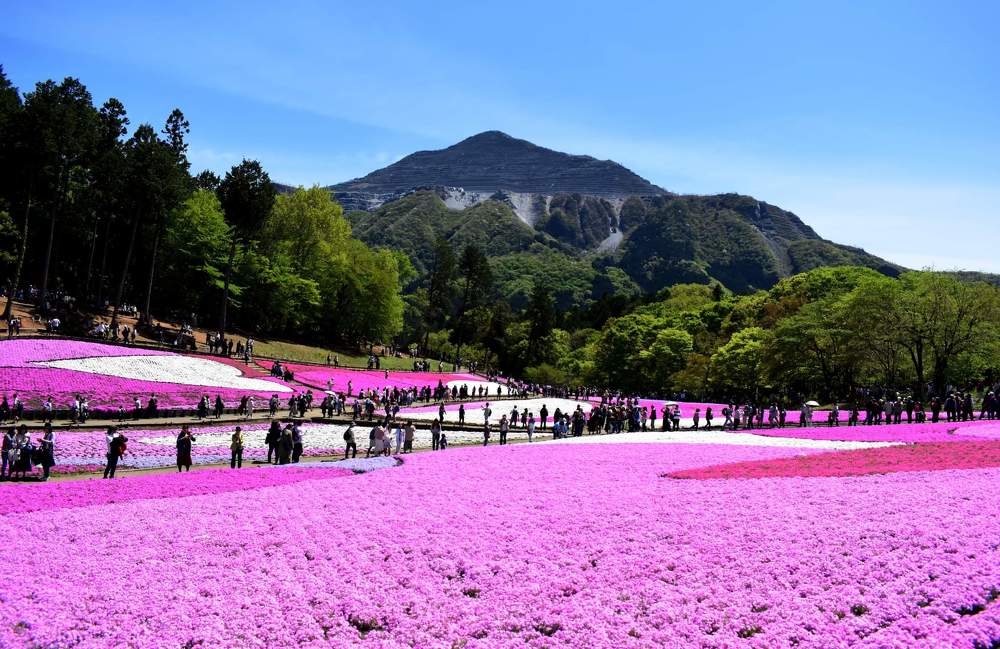 Photograph by Chakraborty Writuparna