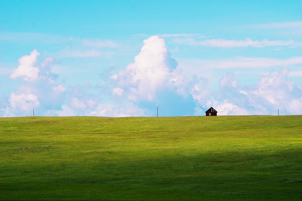 Photograph by Анастасия Скворцова